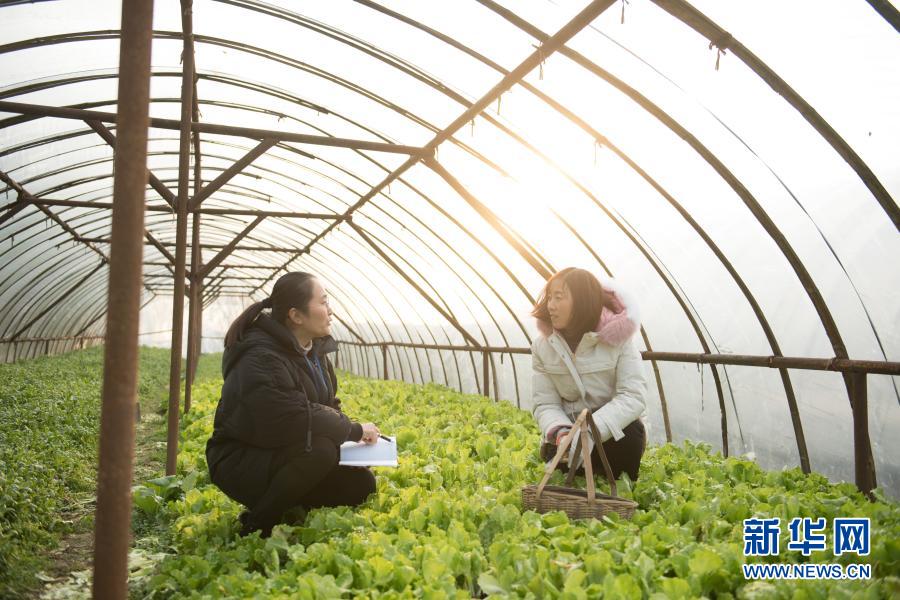 2020年12月30日，紀(jì)檢監(jiān)察干部（左）在浙江湖州吳興區(qū)埭溪鎮(zhèn)璞心農(nóng)場走訪農(nóng)業(yè)大戶，核實(shí)涉農(nóng)補(bǔ)貼發(fā)放和幫扶政策落實(shí)情況。新華社記者 翁忻旸 攝